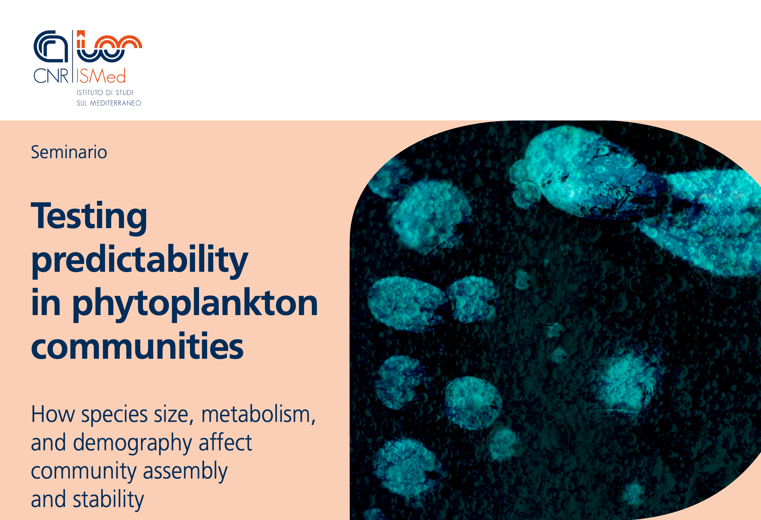 Testing predictability in phytoplankton communities